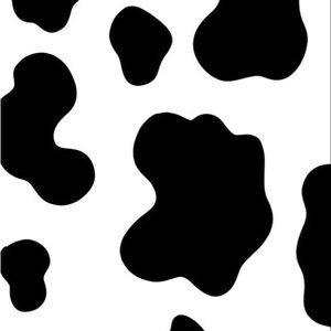 Meet your Posher, Shena